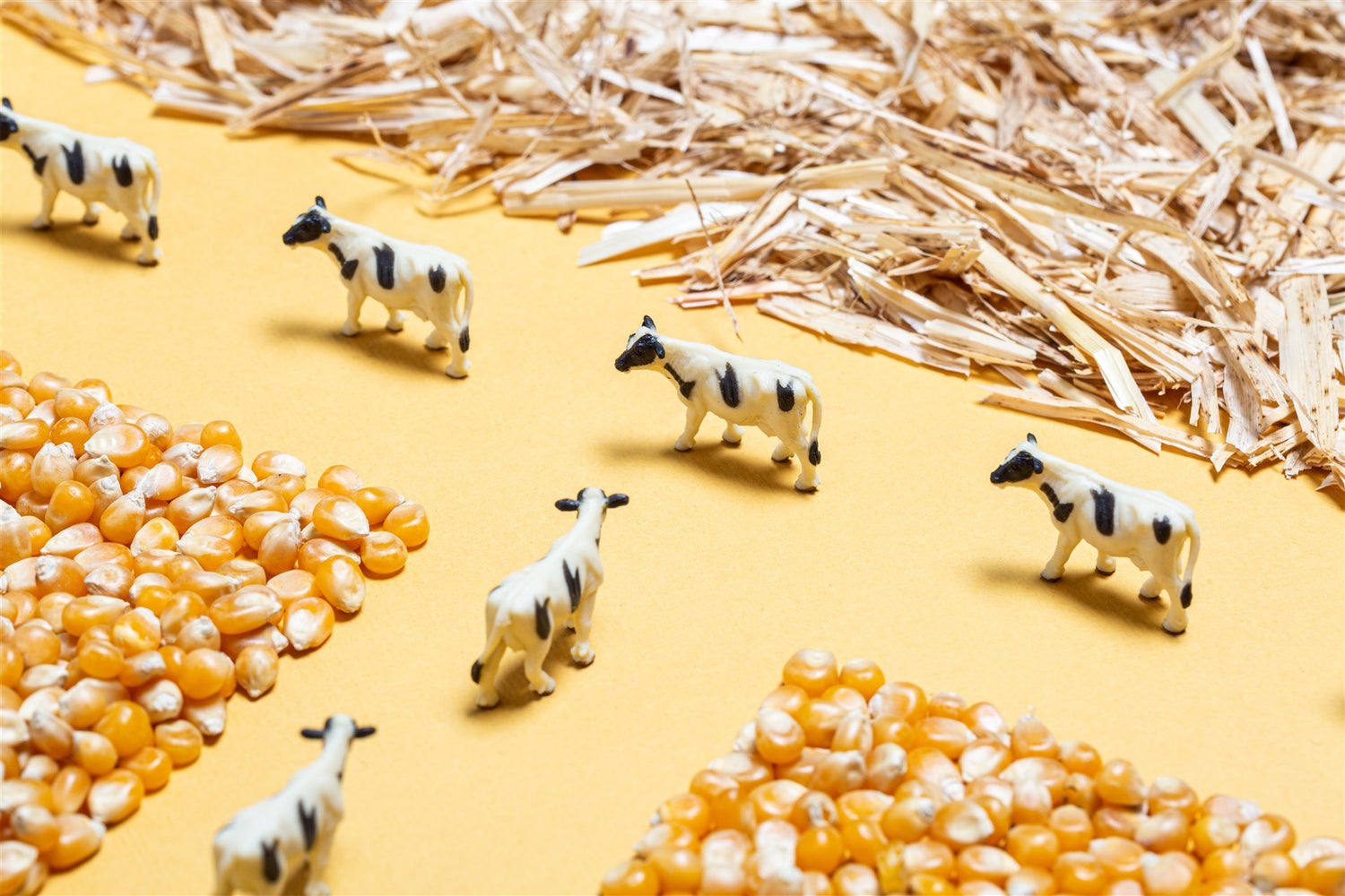 Sensorische Flasche – Bauernhof