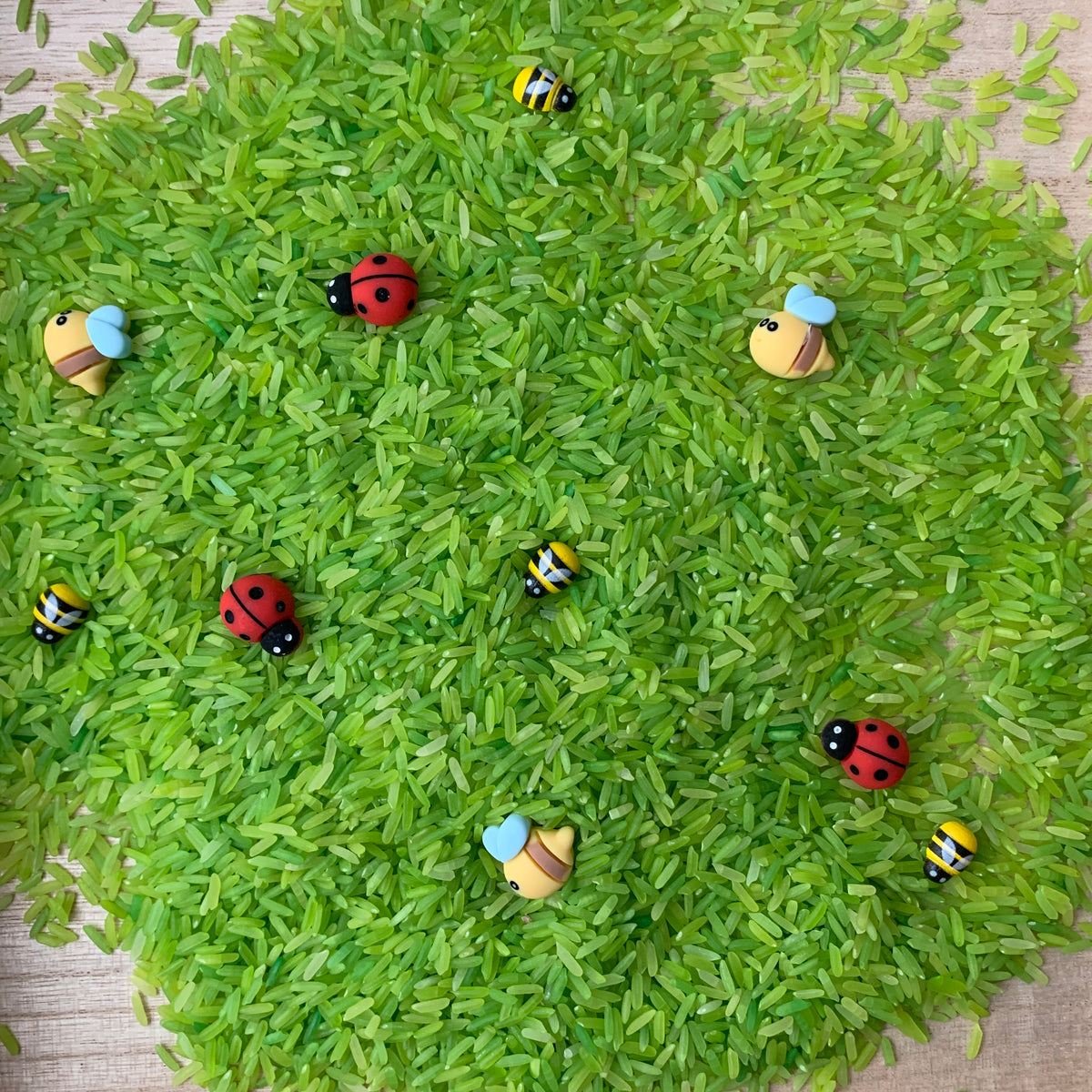 Speelrijst met lieveheersbeestje en bij