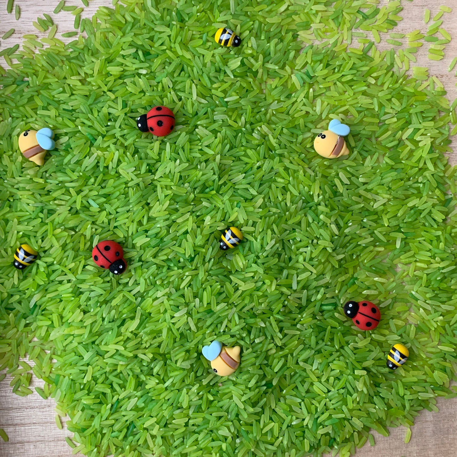 Speelrijst met lieveheersbeestje en bij